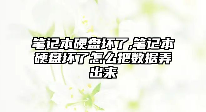 筆記本硬盤壞了,筆記本硬盤壞了怎么把數據弄出來