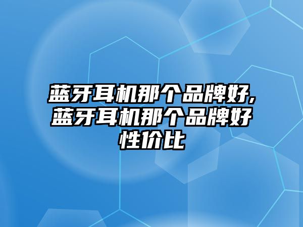 藍(lán)牙耳機(jī)那個品牌好,藍(lán)牙耳機(jī)那個品牌好性價比