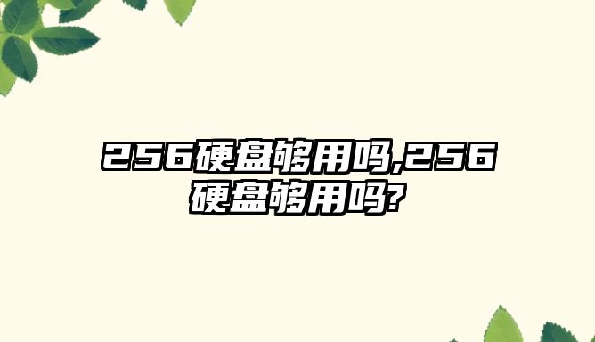 256硬盤夠用嗎,256硬盤夠用嗎?