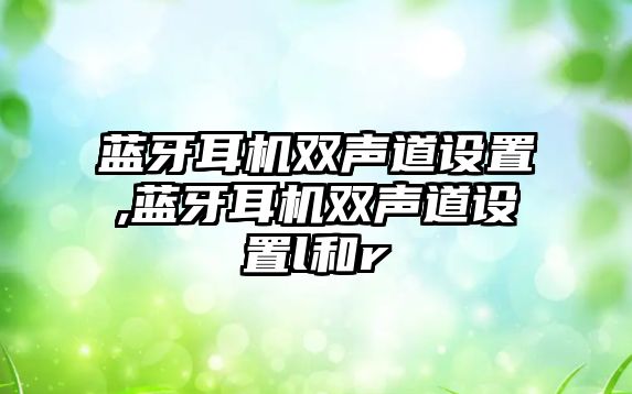 藍牙耳機雙聲道設置,藍牙耳機雙聲道設置l和r