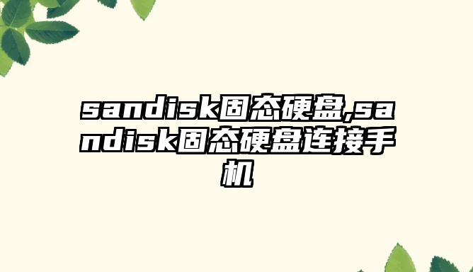 sandisk固態硬盤,sandisk固態硬盤連接手機