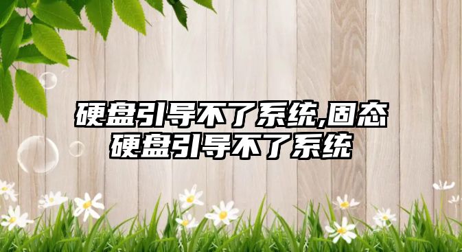 硬盤引導不了系統,固態硬盤引導不了系統