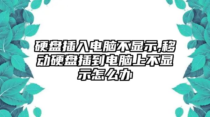 硬盤插入電腦不顯示,移動(dòng)硬盤插到電腦上不顯示怎么辦