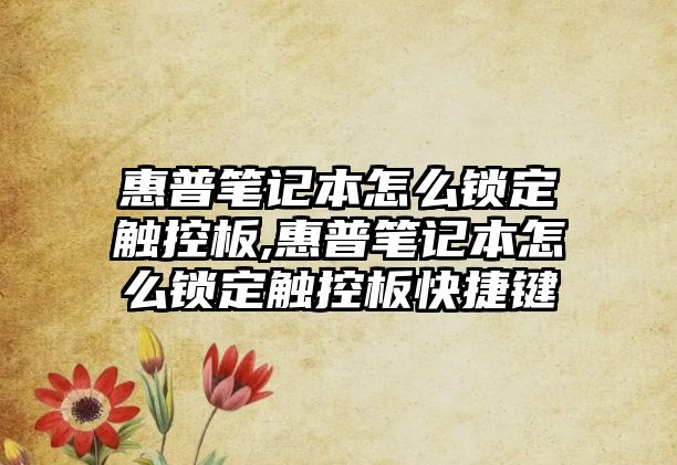 惠普筆記本怎么鎖定觸控板,惠普筆記本怎么鎖定觸控板快捷鍵